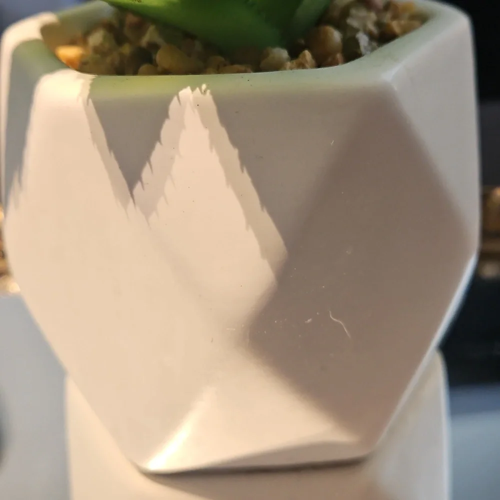 Modern White Planter with Green Succulent